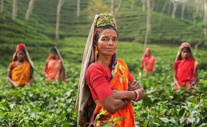 List of The First Woman In All Fields Of India First Woman Of India