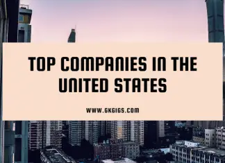 Top American Companies