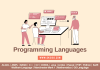 Programming Languages and Their Developers